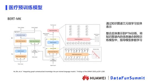 华为云苏嘉 如何整合预训练模型和知识图谱做医疗推理