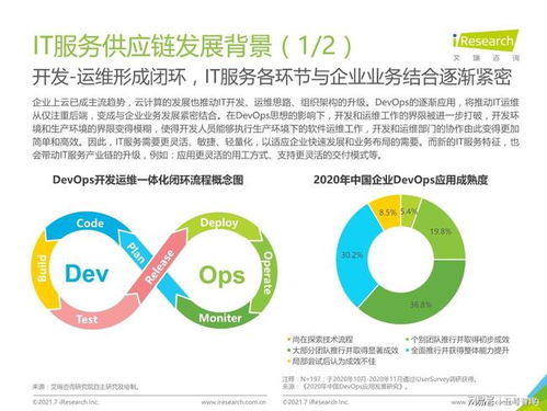 2021年中国it服务供应链数字化升级研究报告