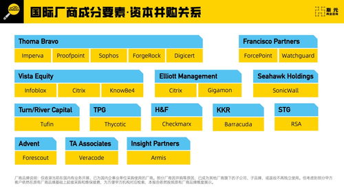 斯元商业咨询 2023年网络安全科技供应链报告